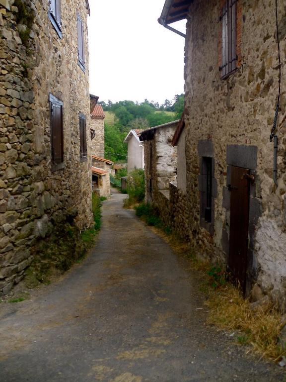 Le Panorama - Chambres D'Hotes - Cuisine Disponible Vieille-Brioude Екстериор снимка